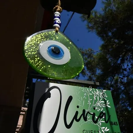 Olivia1845 Over 16 Years Old Guest house *