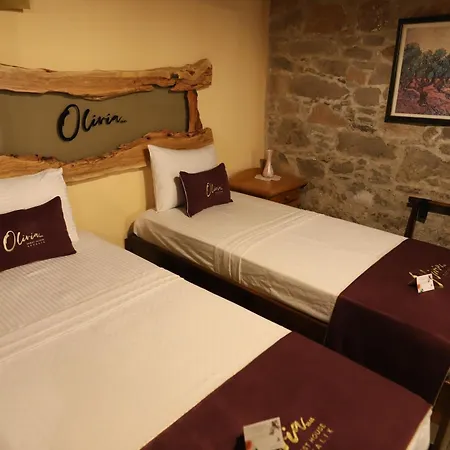 Guest house Olivia1845 Over 16 Years Old *