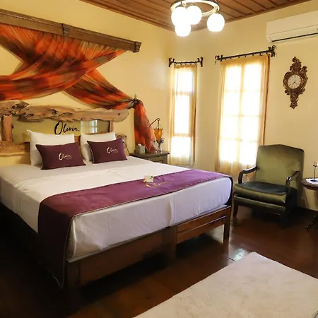 Olivia1845 Over 16 Years Old Guest house *