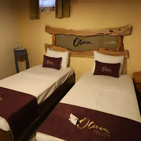 Olivia1845 Over 16 Years Old Guest house Ayvalik