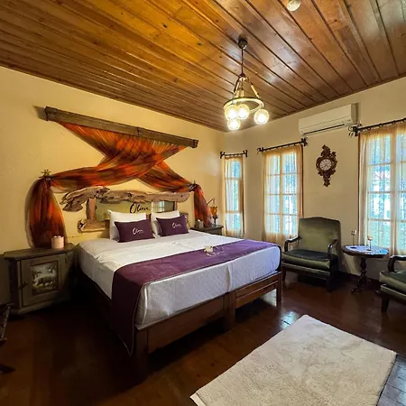 Olivia1845 Over 16 Years Old Guest house
