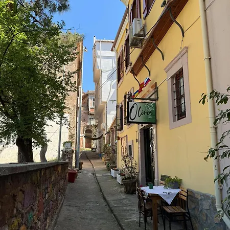 Guest house Olivia1845 Over 16 Years Old