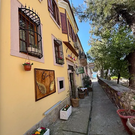 Olivia1845 Over 16 Years Old Guest house *