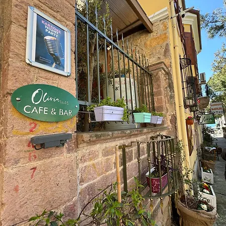 Guest house Olivia1845 Over 16 Years Old *