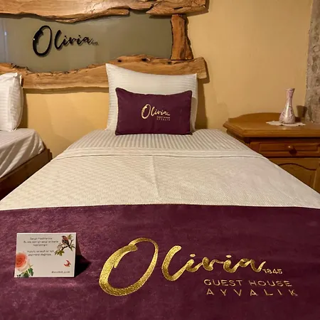 Olivia1845 Over 16 Years Old Guest house *