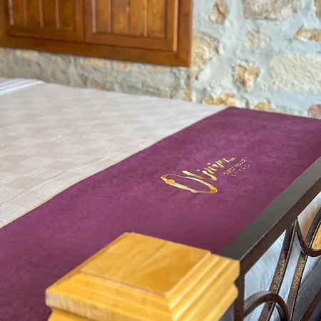 Guest house Olivia1845 Over 16 Years Old *